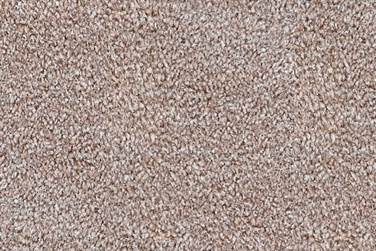 Albus - Beige - Action Backed - Carpet Sample CL587