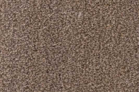 Albus - Coffee - Action Backed - Carpet Sample CL589