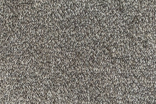Albus - Metallic - Action Backed - Carpet Sample CL583