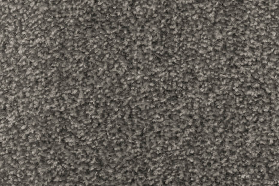 Albus - Titanium - Action Backed - Carpet Sample CL584