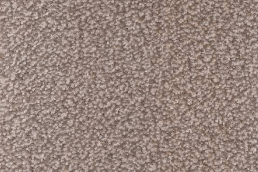 Albus - Wholemeal - Action Backed - Carpet Sample CL588