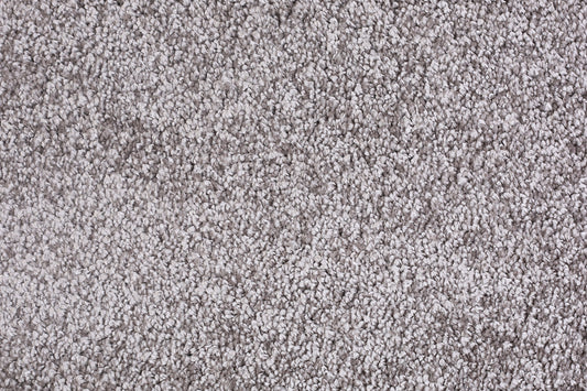 Anastasia - Safari - Fitter-friendly - Carpet Sample FC530