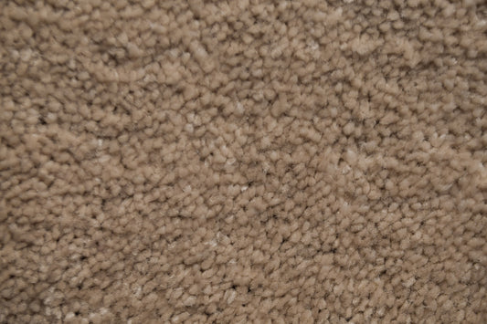 Ariel - Beige - Action Backed - Carpet Sample FC511