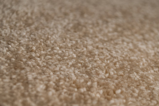 Ariel - Cream - Action Backed - Carpet Sample FC510